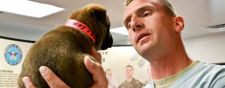 Army officer holds future service dog puppy.