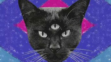 Cover art for the Never Say Never album "Black Cat."