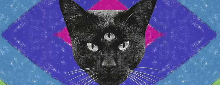 Cover art for the Never Say Never album "Black Cat."
